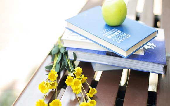 鲁西西传读后感