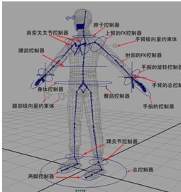 天琥玛雅培训课程