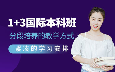 北京國際本科教育