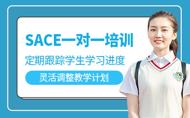 廣州格致SACE一對(duì)一培訓(xùn)