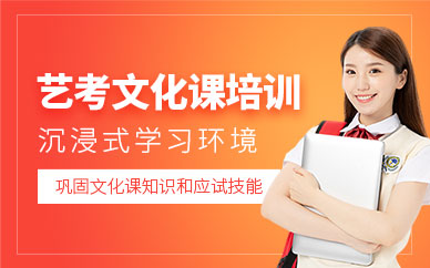 蘇州藝考文化課培訓(xùn)班