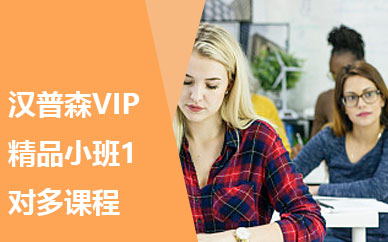 深圳汉普森VIP精品小班1对多课程