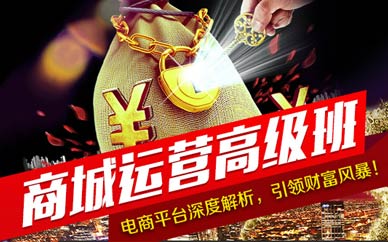 上海電子商務(wù)運(yùn)營培訓(xùn)