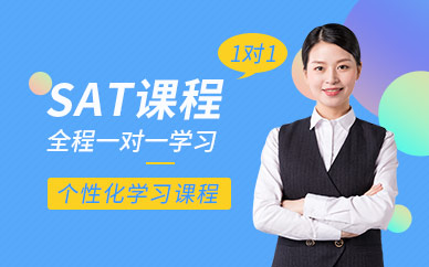 北京sat一對一培訓(xùn)