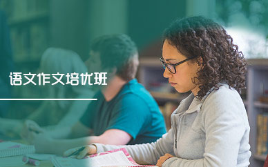 广州小学生语文作文培优班