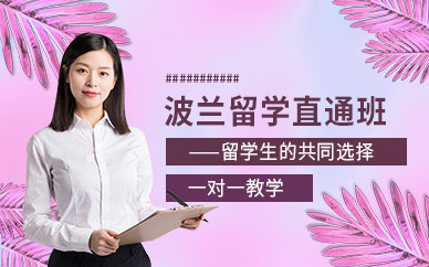 南寧波蘭留學中介