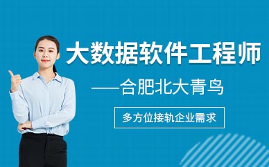 合肥大數(shù)據(jù)培訓(xùn)