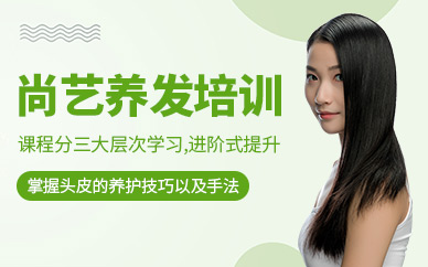 尚藝養(yǎng)發(fā)培訓(xùn)課程