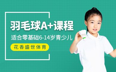 青少年羽毛球?qū)W習(xí)