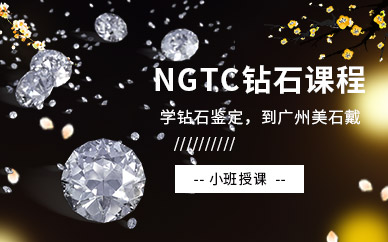 广州ngtc钻石分级课程