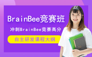BrainBee競賽培訓