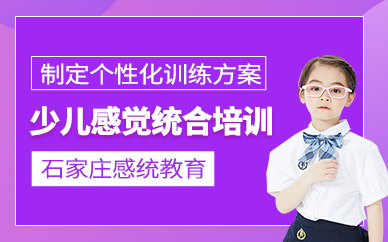 石家莊少兒感統(tǒng)培訓(xùn)