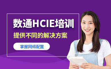 HCIE數通培訓班