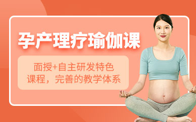 北京孕产瑜伽教练培训