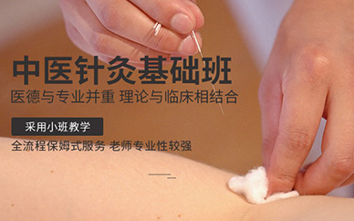 北京中醫(yī)針灸培訓(xùn)班