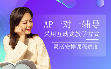 ap一對一輔導