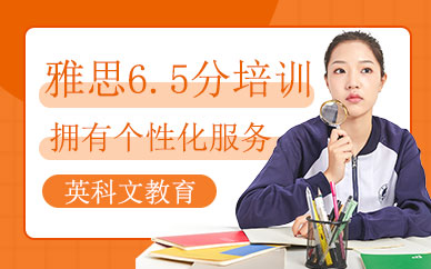 雅思6.5分學習