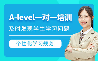 成都A-level一對一輔導班