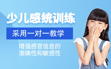 深圳一對(duì)一感統(tǒng)訓(xùn)練