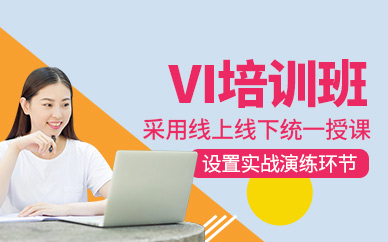 vi設(shè)計(jì)培訓(xùn)