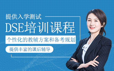 深圳dse補習