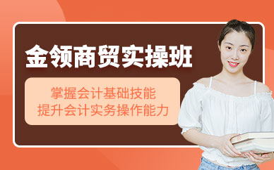 會(huì)計(jì)實(shí)操實(shí)訓(xùn)課程