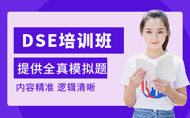 深圳dse課程