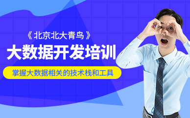 北京大數(shù)據(jù)軟件開發(fā)培訓(xùn)