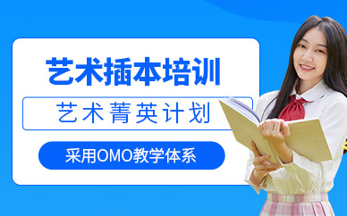 廣州藝術(shù)類專插本輔導(dǎo)