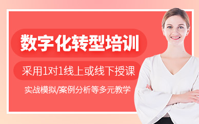 北京數(shù)字化轉(zhuǎn)型培訓班