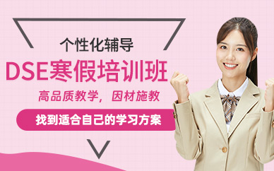 深圳DSE寒假班