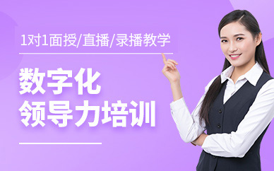 北京數(shù)據(jù)國研數(shù)字化領(lǐng)導(dǎo)力課程