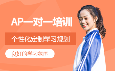 深圳AP一對一培訓(xùn)班