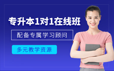哈爾濱專升本1對(duì)1網(wǎng)課