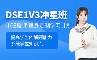 深圳香港dse課程