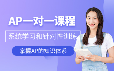 杭州ap1對1課程