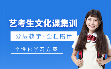 武漢藝考生文化課集訓
