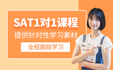 上海sat一對(duì)一課程