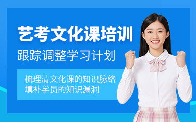 深圳藝考文化課補習班