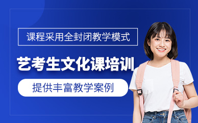 天津藝考生文化課沖刺班