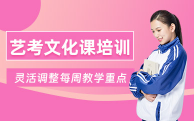滄州藝考文化課學(xué)習(xí)班
