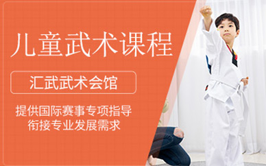 滁州兒童武術套路訓練班