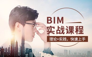 BIM實(shí)戰(zhàn)培訓(xùn)課程