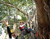 野外生存树顶生存探险课程--树顶生存滑绳课