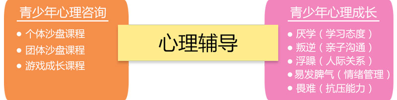 博沃思心理辅导课程体系