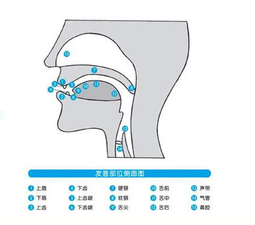 怎么练习普通话鼻音