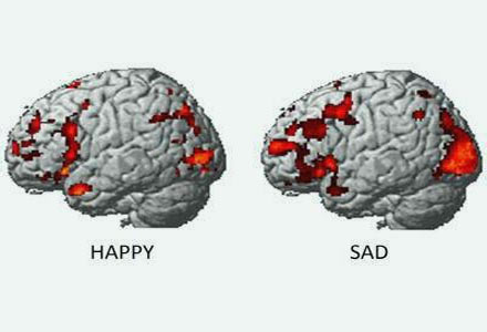 大脑如何掌控情绪