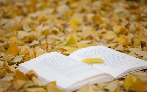 學會計需要看什么書_會計科目是對什么的具體分