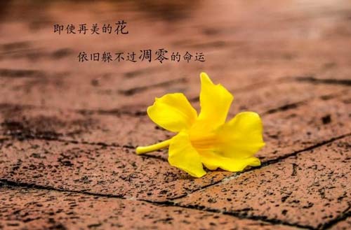 和陌生人聊天怎么找话题