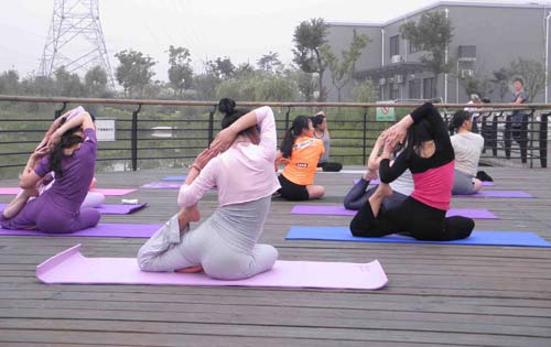 缓解腰痛的瑜伽锻炼方法